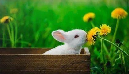 传奇手游玩家打牛魔大厅的组队建议